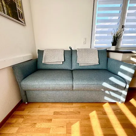 Greenhouse With Aircondition And Garden *